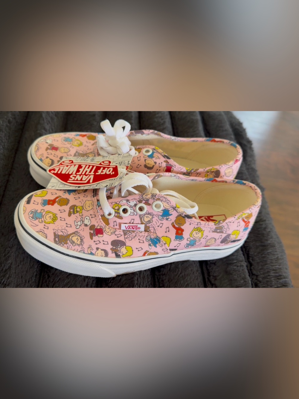 Vans dance party  Peanuts Snoopy Sneakers